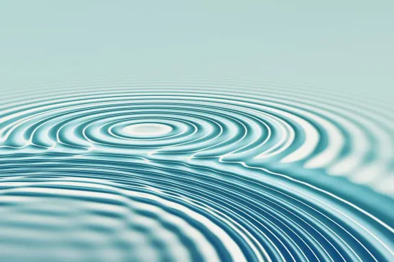 ベット ビアード カジノ サポート